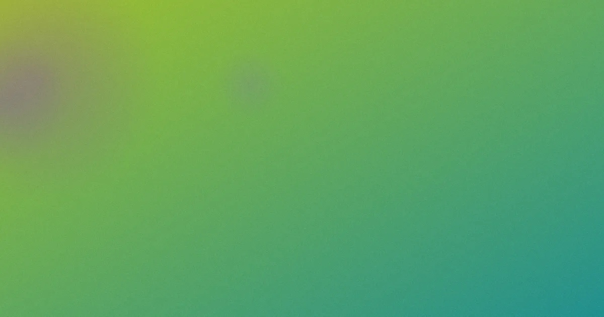 全孝盛是什么：一篇看懂